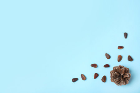 Flat lay composition with pine nuts and space for text on color backgroundの写真素材