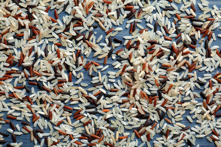Brown and other types of rice scattered on color wooden backgroundの写真素材