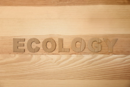 Word "Ecology" made of cardboard letters on wooden background, top viewの写真素材