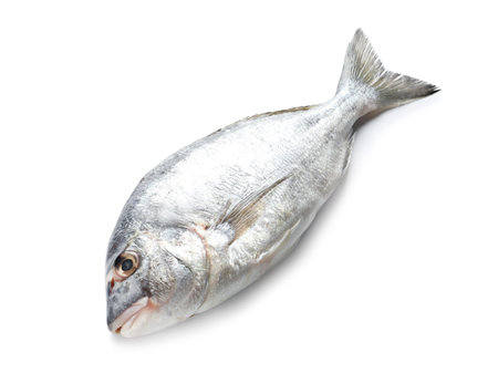 Raw fish on white background. natural food high in proteinの写真素材