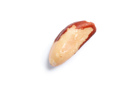 Delicious Brazil nut on white background. Healthy snackの写真素材