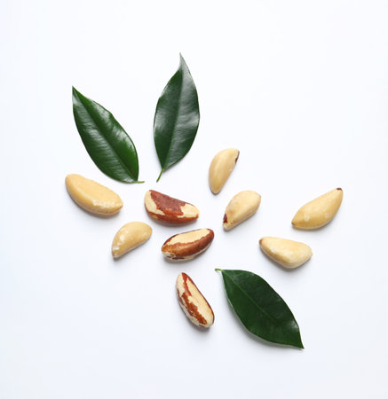 Composition with Brazil nuts on white background, top viewの写真素材