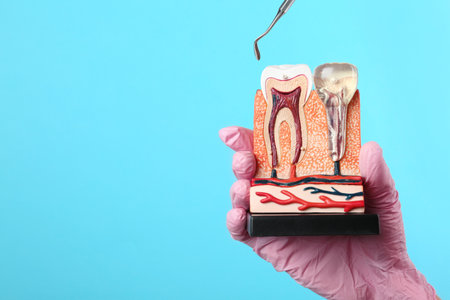 Dentist holding educational model of jaw section with teeth and professional tool on color background. Space for textの写真素材