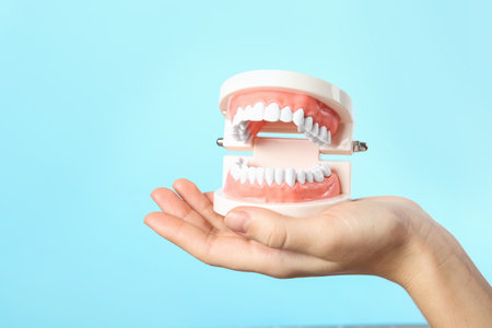 Woman holding educational model of oral cavity with teeth on color background. Space for textの写真素材