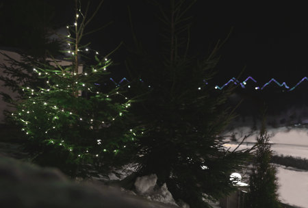 Fir tree with Christmas lights and snow outdoorsの写真素材