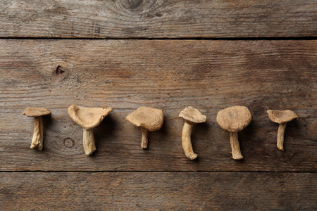 Flat lay composition of dried mushrooms on wooden backgroundの写真素材