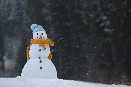 Adorable smiling snowman outdoors on winter day. Space for text