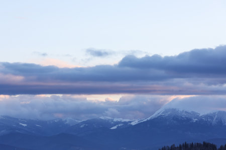 Beautiful mountain landscape with forest in winter