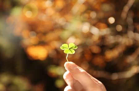Woman holding green clover in autumn forestの写真素材