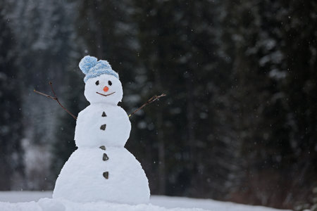 Adorable smiling snowman outdoors on winter day. Space for textの写真素材