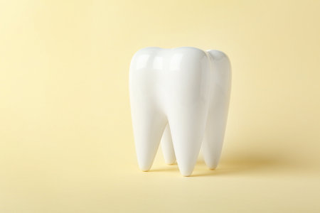 Ceramic model of tooth on color background. Space for textの写真素材