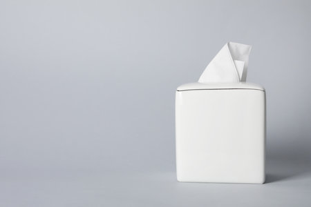 Napkin holder with paper serviettes on gray background. Space for textの写真素材