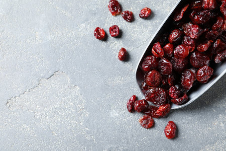 Scoop with cranberries on gray background, top view with space for text. Dried fruit as a healthy snackの写真素材