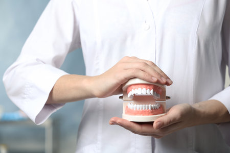 Dentist holding educational model of oral cavity with teeth in clinic, closeupの写真素材