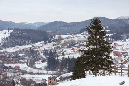 Winter landscape with beautiful conifer trees in mountain villageの写真素材