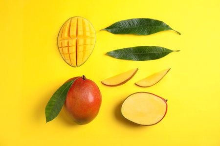 Flat lay composition with ripe mangoes and leaves on color backgroundの写真素材