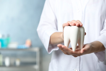 Dentist holding ceramic model of tooth on blurred background, closeup view. Space for textの写真素材