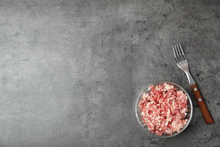 Bowl with minced meat, fork and space for text on gray background, top viewの写真素材