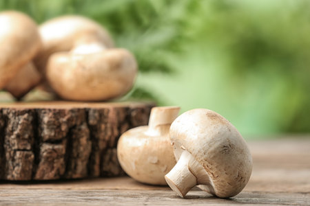 Fresh champignon mushrooms with wooden stump on blurred background, closeupの写真素材
