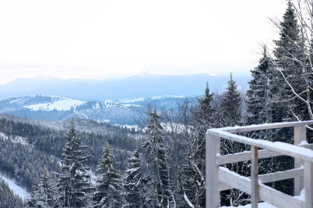 Beautiful mountain landscape with forest. winter holidaysの写真素材