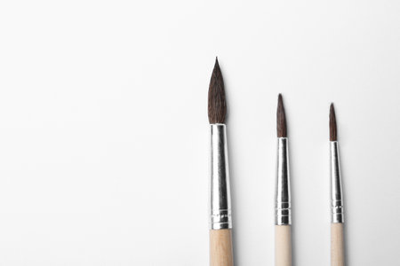 Different paint brushes on white background, top view. Space for textの写真素材