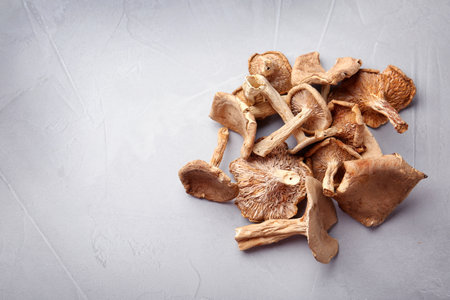 Dried mushrooms on color background, top view. Space for textの写真素材