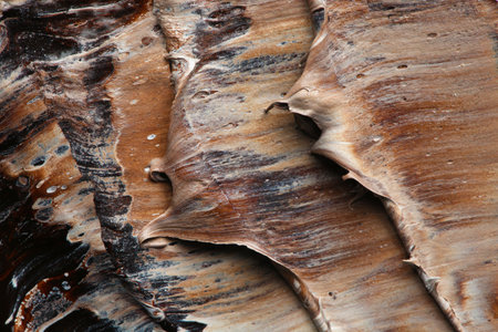 Bright paint strokes drawn with brush as abstract backgroundの写真素材