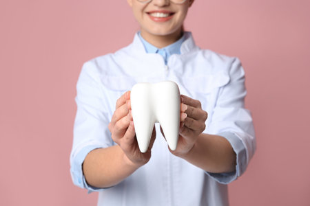 Female dentist holding tooth model on color background, closeupの写真素材