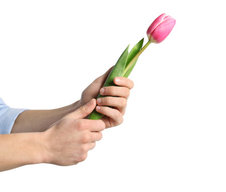 Man holding beautiful spring tulip on light background, closeup. International Women's Dayの写真素材