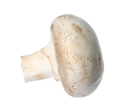Fresh champignon mushroom isolated on white. healthy foodの写真素材