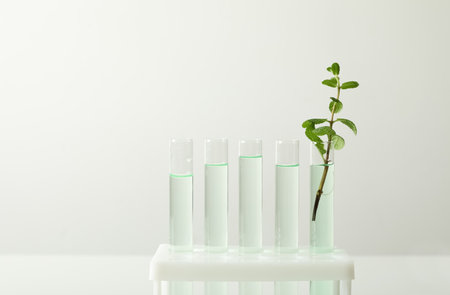 Test tubes with liquid and mint on white background. Chemistry conceptの写真素材