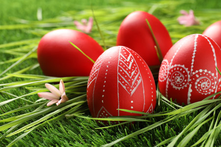 Red painted Easter eggs on green grass. Space for textの写真素材