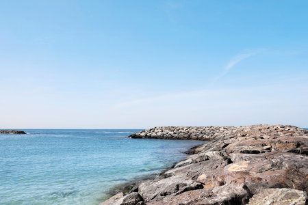 Picturesque view of beach with stone breakwater on sunny day