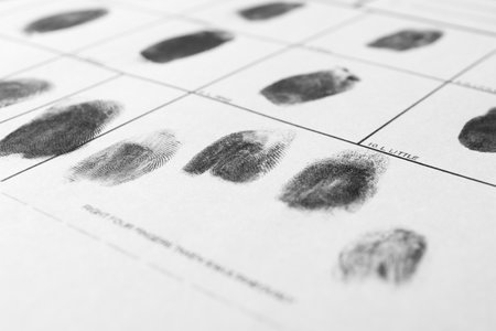 Police form with fingerprints, closeup. Forensic examination