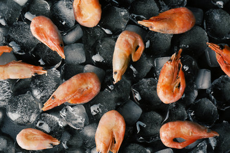 Flat lay composition with shrimps and ice cubes on dark backgroundの写真素材