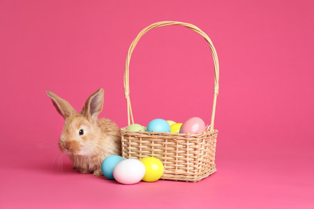 Adorable furry Easter bunny near wicker basket and dyed eggs on color backgroundの写真素材