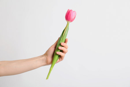 Girl holding beautiful spring tulip on light background, closeup. International Women's Dayの写真素材