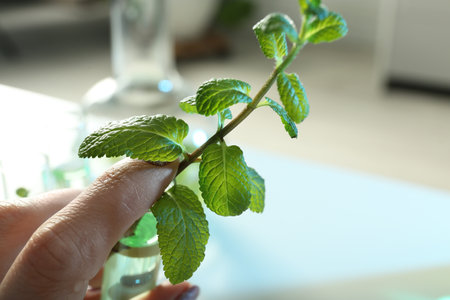 Lab assistant holding test tube with plant on blurred background, closeup. Biological chemistryの写真素材
