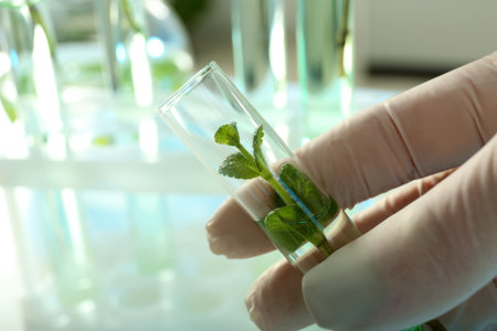 Lab assistant holding test tube with plant on blurred background, closeup. Biological chemistryの写真素材