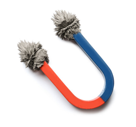 Magnet with iron powder on white background, top view