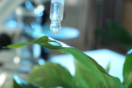 Clear liquid dropping from pipette on leaf against blurred background, closeup. plant chemistryの写真素材