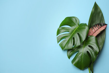 Flat lay composition with tropical leaves and space for text on color backgroundの写真素材