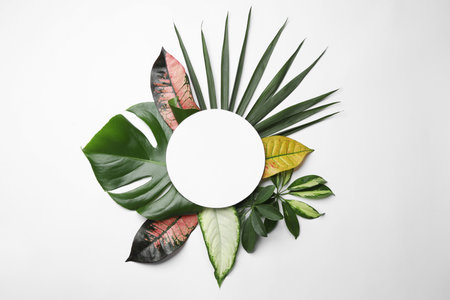 Beautiful composition with tropical leaves and blank card on white background, top viewの写真素材