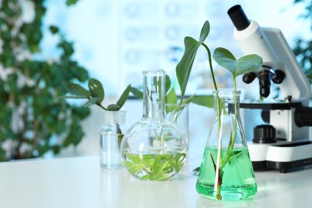 Plants in laboratory glassware and microscope on table, space for text. Biological chemistryの写真素材