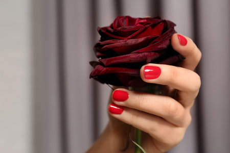 Woman with red manicure holding rose on blurred background, closeup. Nail polish trendsの写真素材