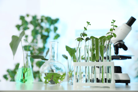 Laboratory glassware with plants and microscope on table, space for text. Biological chemistryの写真素材