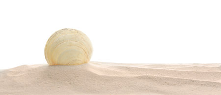 Pile of beach sand with sea shell isolated on whiteの写真素材