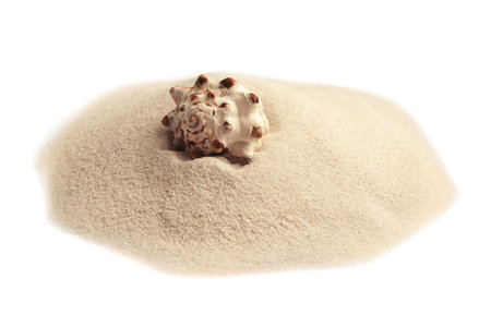 Pile of beach sand with sea shell isolated on white