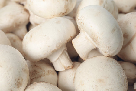 Fresh raw champignon mushrooms as background, closeupの写真素材