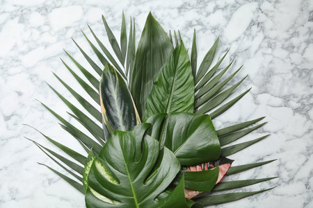 Flat lay composition with tropical leaves on marble backgroundの写真素材